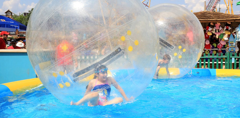 Water Walkers